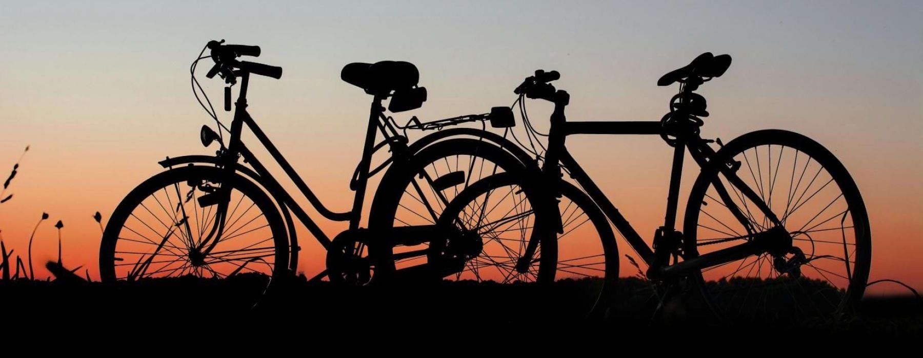 a group of bikes parked on a hill