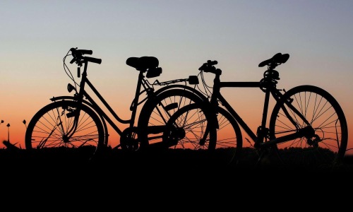 a group of bikes parked on a hill