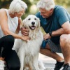 older couple on walk with friendly pet